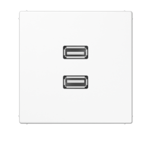 Dvigubas USB 2.0 lizdas, baltas, LS serija