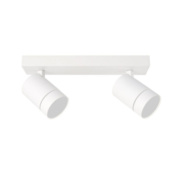 10W LED paviršinis akcentinis lubų šviestuvas SELMA, baltas, 4000K