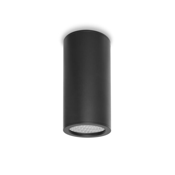 10W LED paviršinis fasado šviestuvas RIMA 4K, juodas, 4000K