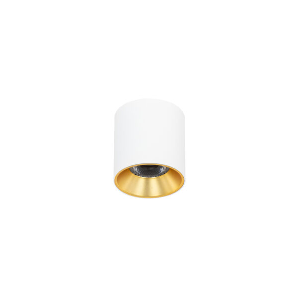 10W LED paviršinis šviestuvas ALTISMA, matinės baltos/aukso sp., 3000K