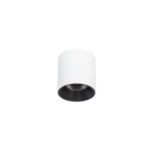 10W LED paviršinis šviestuvas ALTISMA, matinės baltos/juodos sp., 3000K