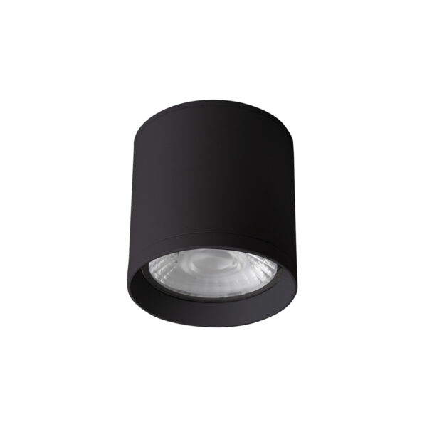15W LED paviršinis fasado šviestuvas CERVIA 4K, juodas, 4000K