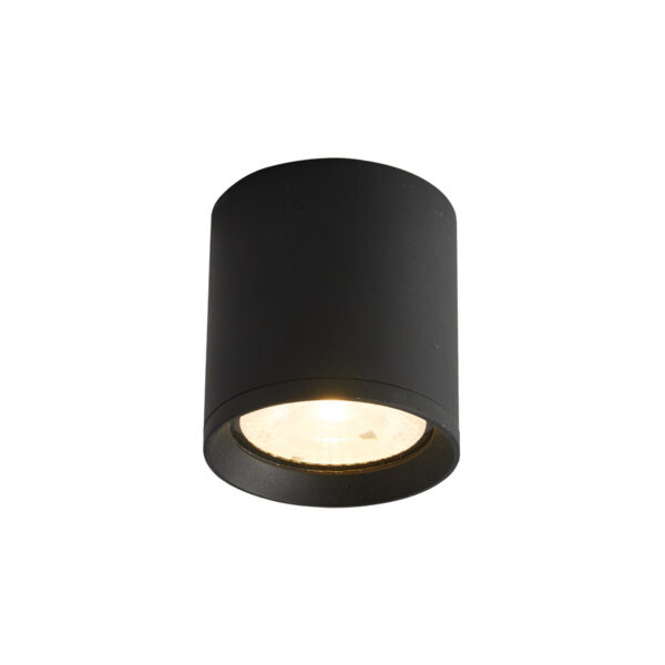 15W LED paviršinis fasado šviestuvas CERVIA 4K, juodas, 4000K - Image 2