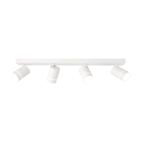 20W LED paviršinis akcentinis lubų šviestuvas SELMA, baltas, 4000K