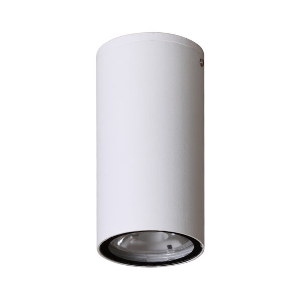 3W LED paviršinis fasado šviestuvas FANO 3K, baltas, 3000K