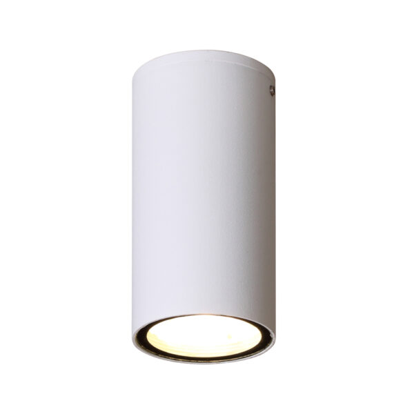 3W LED paviršinis fasado šviestuvas FANO 3K, baltas, 3000K - Image 2