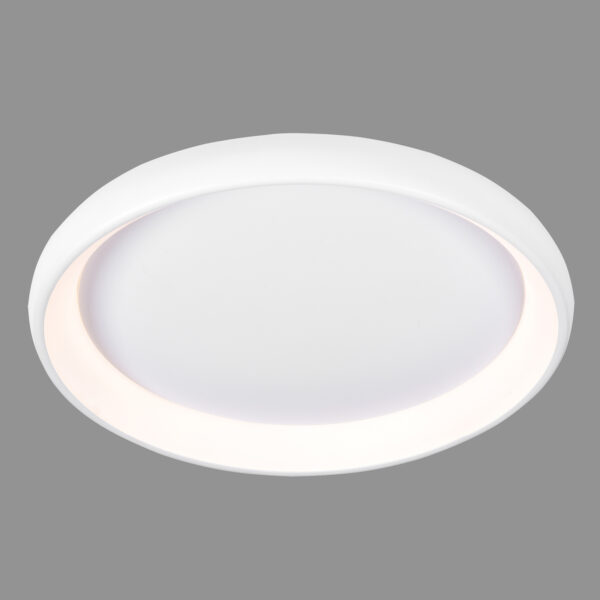 50W LED paviršinis šviestuvas ALESSIA, baltas, 3000K