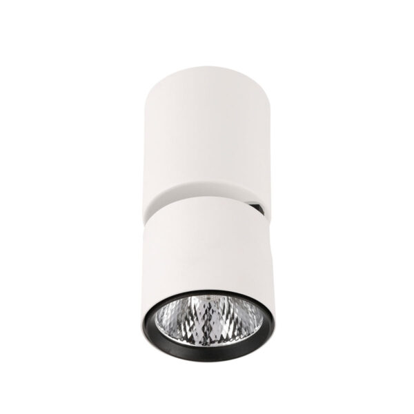 5W LED paviršinis akcentinis lubų šviestuvas BONIVA, baltos/juodos sp., 3000K