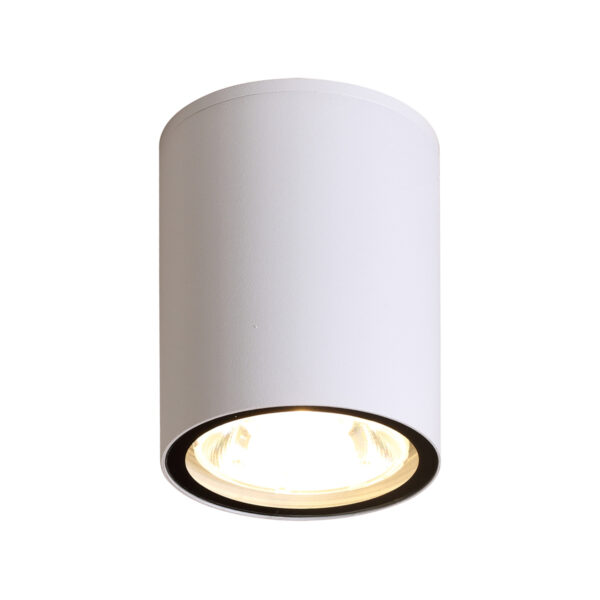 6W LED paviršinis fasado šviestuvas FANO 4K, baltas, 4000K - Image 2