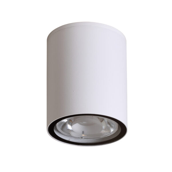 6W LED paviršinis fasado šviestuvas FANO 4K, baltas, 4000K