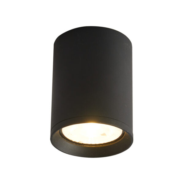 9W LED paviršinis fasado šviestuvas CERVIA 3K, juodas, 3000K - Image 2