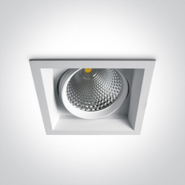 40W LED įleidžiamas pakreipiamas šviestuvas, baltas, 3000K