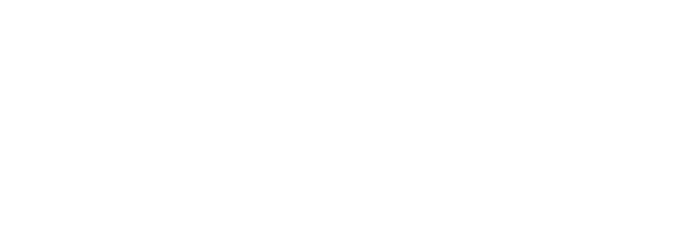V-Tac Logo