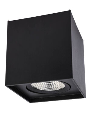 10W LED paviršinis pakreipiamas lubinis šviestuvas PC 01, matinės juodos sp., 3000K