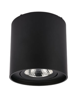 10W LED paviršinis pakreipiamas lubinis šviestuvas PC 01, matinės juodos sp., 4000K