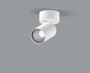 20W LED paviršinis šviestuvas DAISY 80, baltas, 3000K, 18°, DALI, skaidriu dangteliu