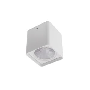 20W LED paviršinis lauko šviestuvas XIA, baltas, 4000K, IP54, 90031
