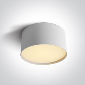 20W LED paviršinis šviestuvas, baltas, 3000/4000/5000K, 12120M/W/V