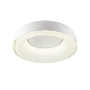30W LED paviršinis/pakabinamas šviestuvas DIP, blizgios baltos sp., 2700/3000/4000/5000/6500K, 01-3940