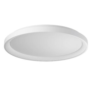 50W LED paviršinis šviestuvas ICONIC, baltas, 3000/4000K, dimeriuojamas, 01-3908
