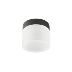 6W LED paviršinis šviestuvas NAIDA, juodas, 3000/4000K, IP44, 01-3359