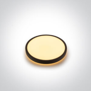 22+3W LED paviršinis šviestuvas, juodos sp., 2700/3200/4000K, 300mm, šviečia į viršų ir į apačią, 62002A/B/V