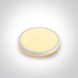 30+3W LED paviršinis šviestuvas, baltos sp., 2700/3200/4000K, 400mm, šviečia į viršų ir į apačią, 62002B/W/V