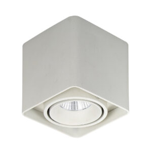 10W LED paviršinis šviestuvas BONNIE, baltas, 3000K
