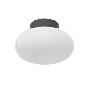 9W LED lubinis šviestuvas ETHOS, juodos/baltos sp., 2700/3000K, dimeriuojamas, 01-4563