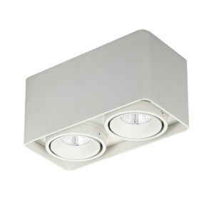 20W LED paviršinis šviestuvas BONNIE, baltas, 3000K