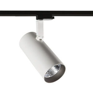 40W LED akcentinis vienfazis šviestuvas RUSSO L, baltos/pilkos sp., 4000K