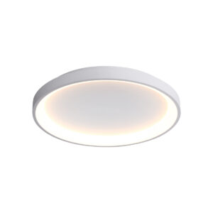 40W LED lubinis šviestuvas RADEN, baltas, 3000/4000/6000K