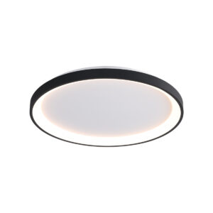 40W LED lubinis šviestuvas RADEN, juodos/baltos sp., 3000/4000/6000K