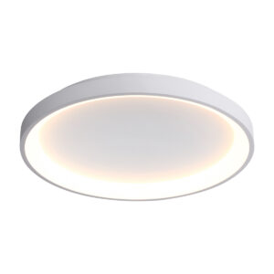 50W LED lubinis šviestuvas RADEN, baltas, 3000/4000/6000K