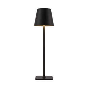 5W LED įkraunamas stalo šviestuvas ATLIS, juodas, 3000/6500K, IP54, su USB jungtimi