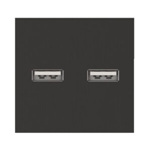 Dvigubas USB lizdas (juodos spalvos, su įkrovimu)