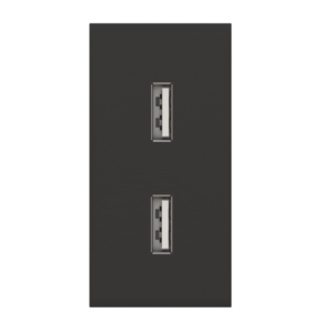 Dvigubas USB lizdas (juodos spalvos, su įkrovimu)