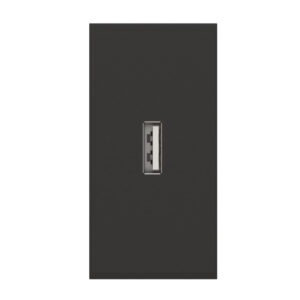 USB lizdas (juodos spalvos, be įkrovimo)