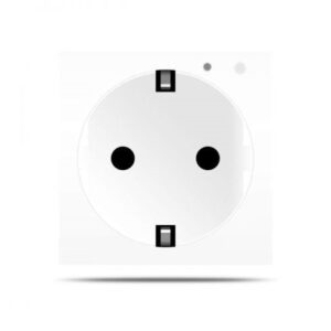 Kištukinis lizdas su įžeminimu, su WIFI, baltas (be rėmelio)